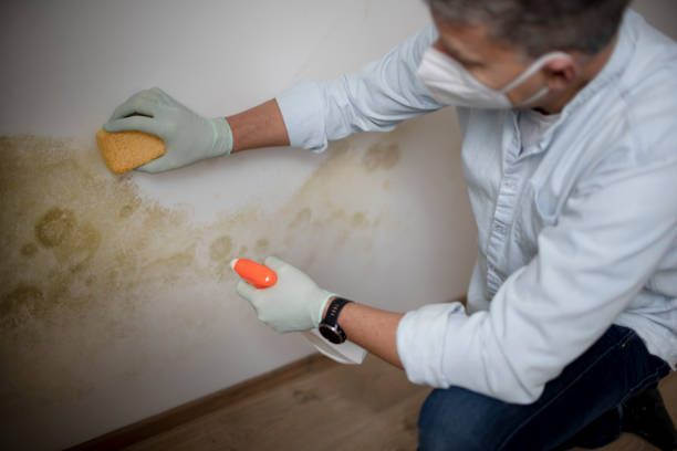 Best Bathroom Mold Remediation in Mccoll, SC