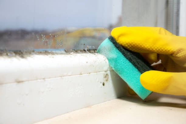 Mccoll, SC Mold Remediation Company