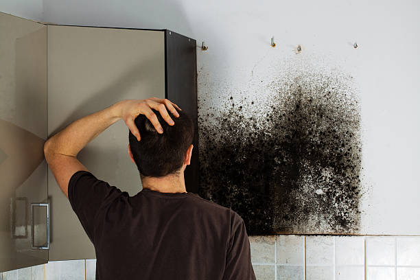 Best Residential Mold Remediation in Mccoll, SC
